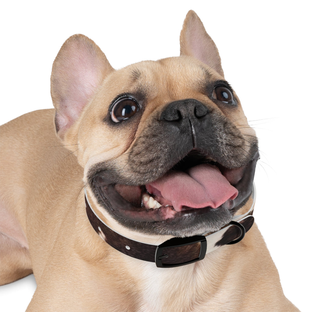 Cow Print Dog Collar — Brown & White Spot Pattern Pet Collar