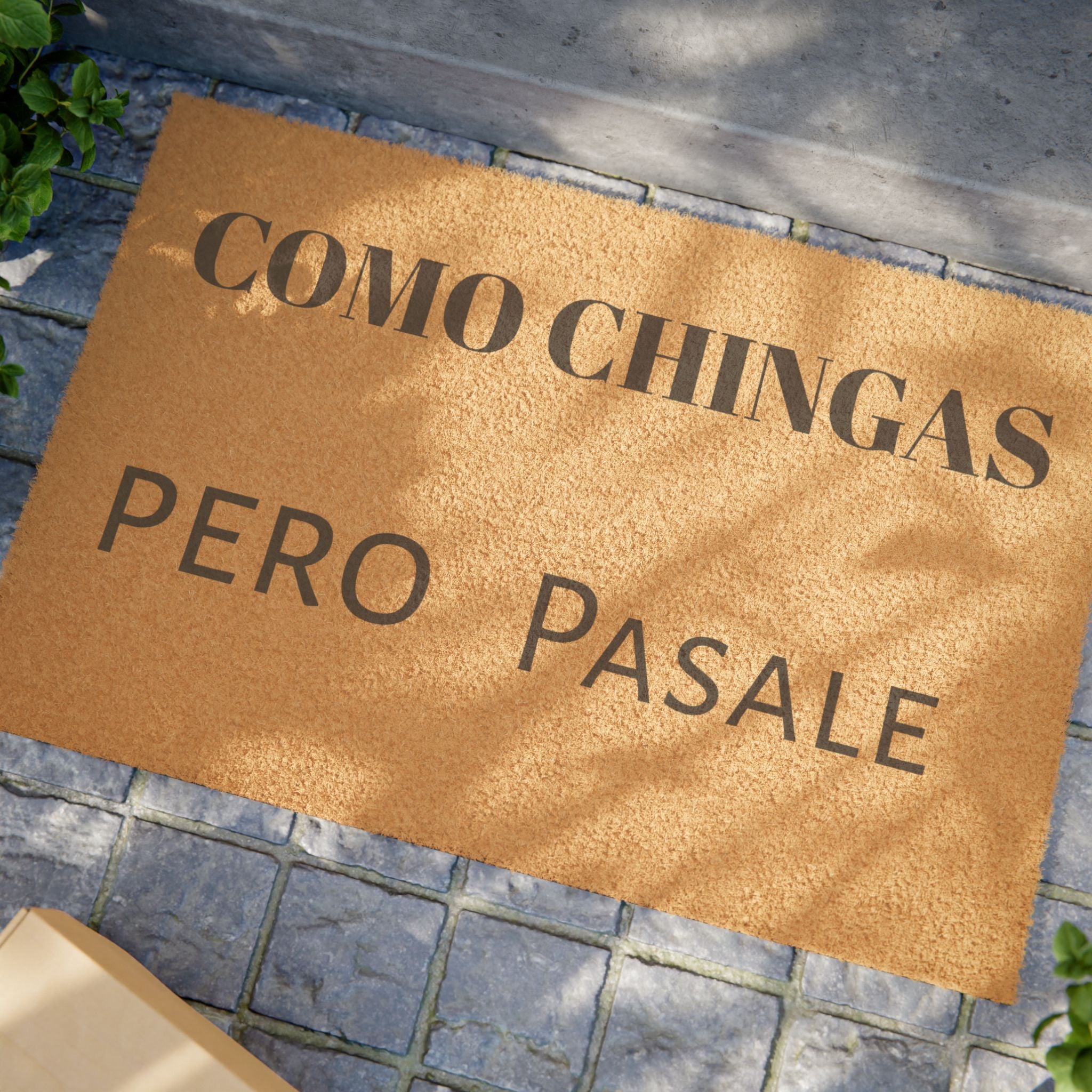 Doormat - “Como Chingas Pero Pásale” Funny Spanish Welcome Mat